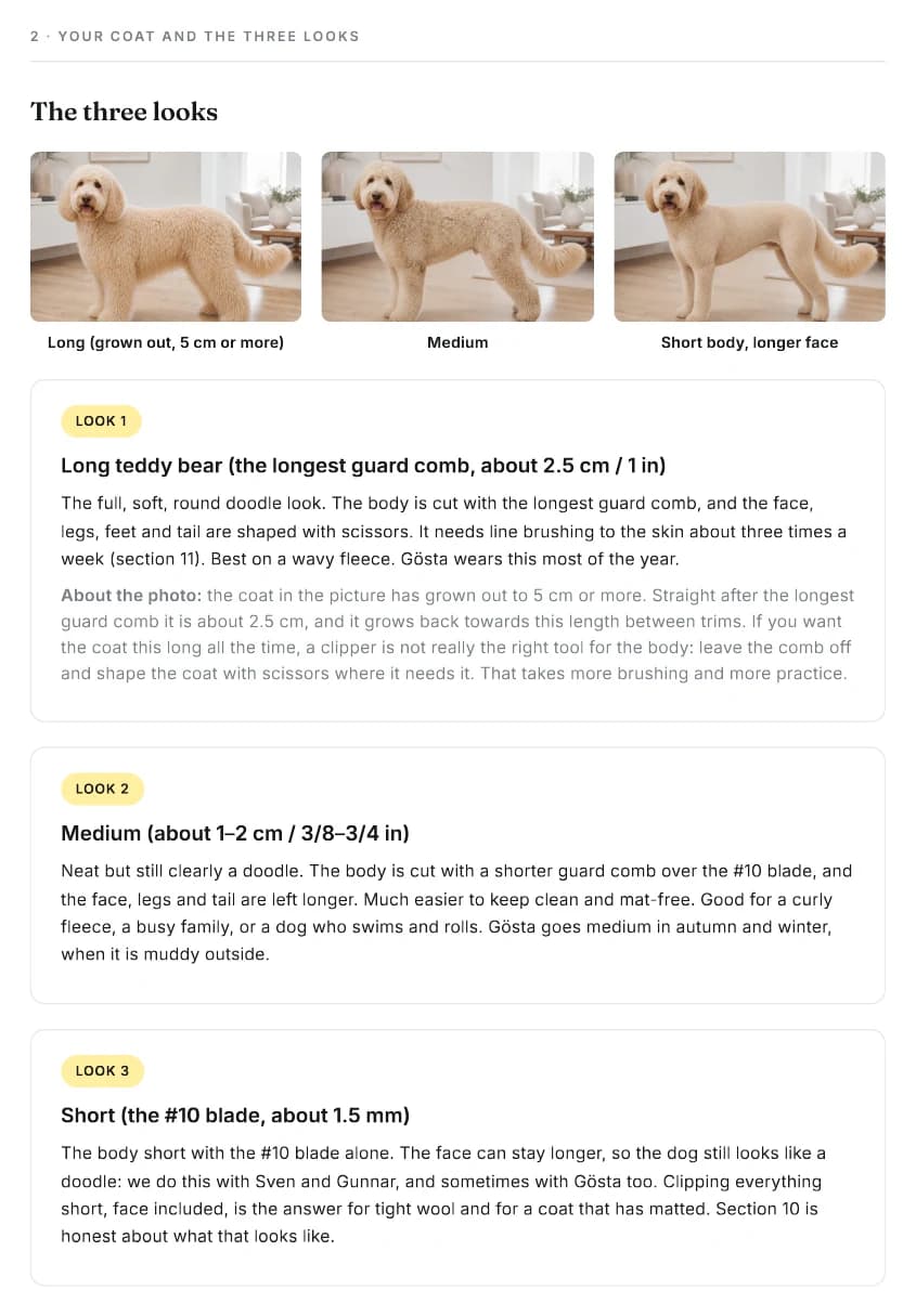 Guide page showing the three doodle looks: long, medium and short body with a longer face