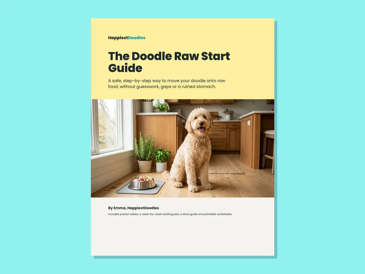 The Doodle Raw Start Guide shown as a printed booklet