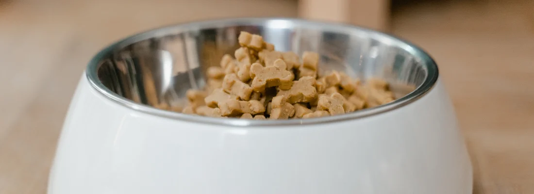 A small white bowl filled with bite-sized freeze-dried food for sensitive doodles
