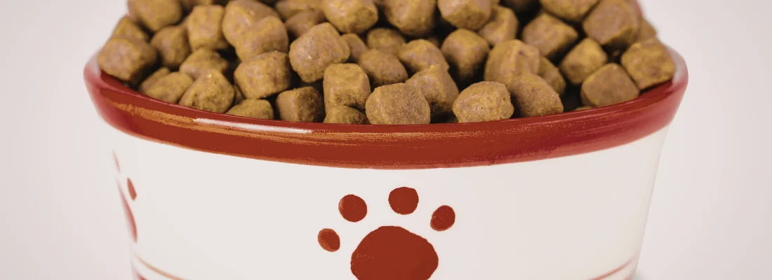 A bowl of kibble pellets with paw-print decoration — sensitive doodle food transition