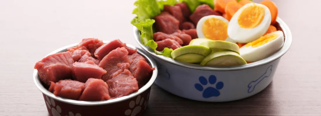 Two bowls of fresh raw dog food side by side: cubed red meat and a balanced raw meal with ground meat, eggs, and vegetables